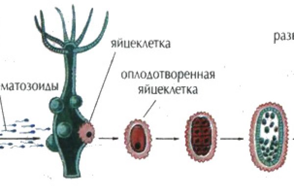 Kraken ссылка зеркало официальный сайт