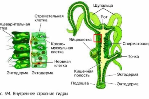 Kraken tor ссылка kraken014 com