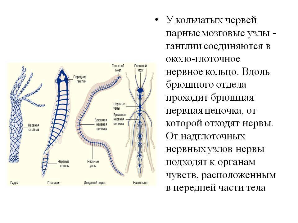 Кракен зайти зеркало